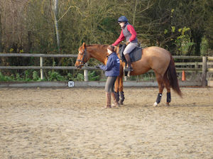 Beth Wells and Roo being training by Beth Barnett